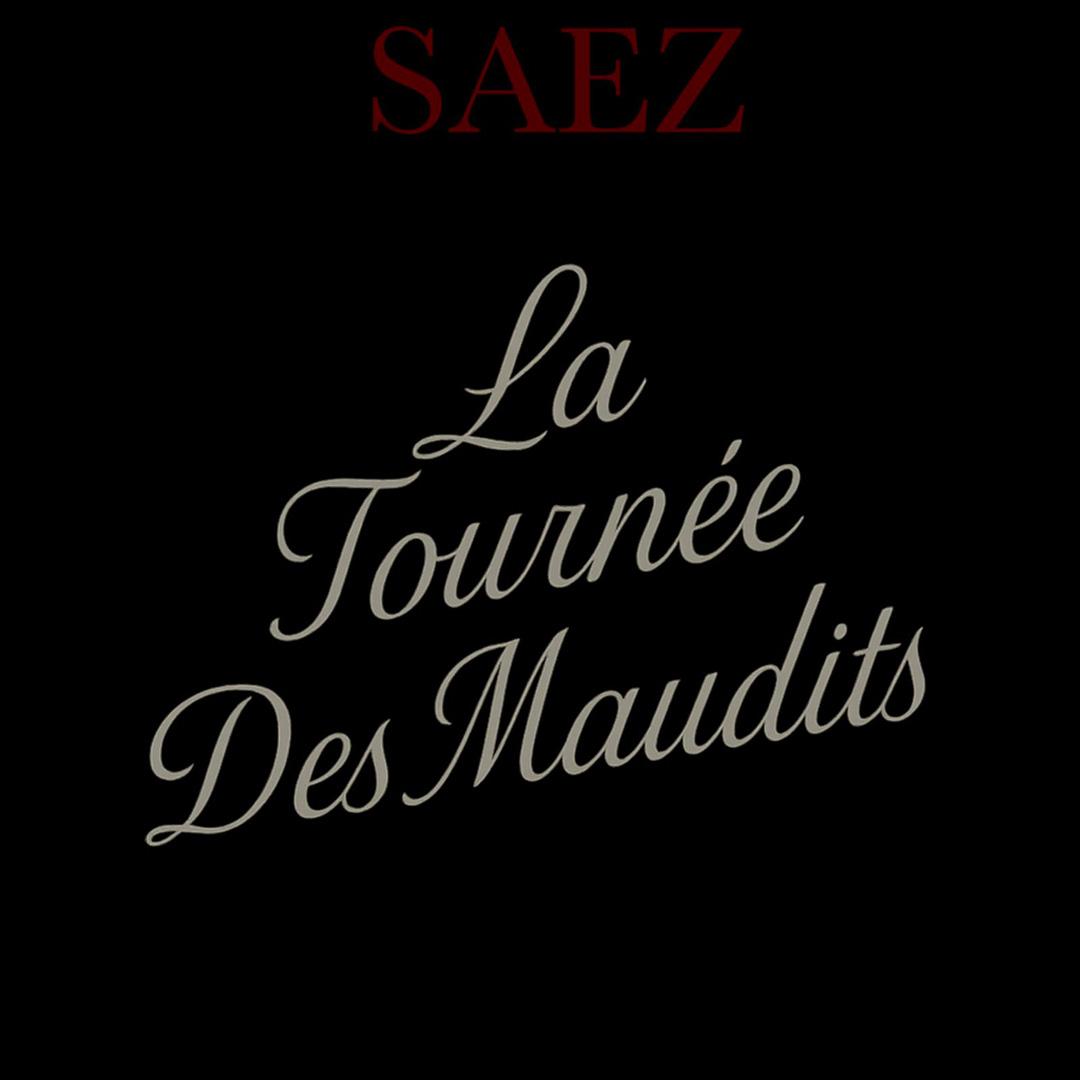 Saez au Zenith d'Auvergne